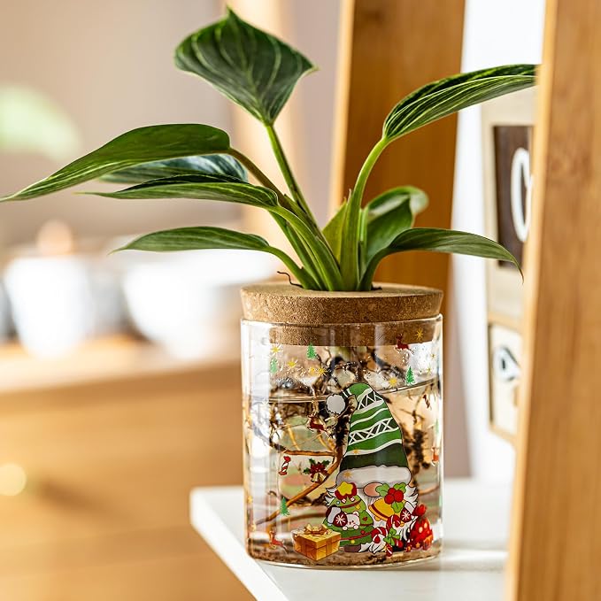 Christmas Vase, Christmas Themed Propagation Stations, Glass Propagation Vases - Image 9