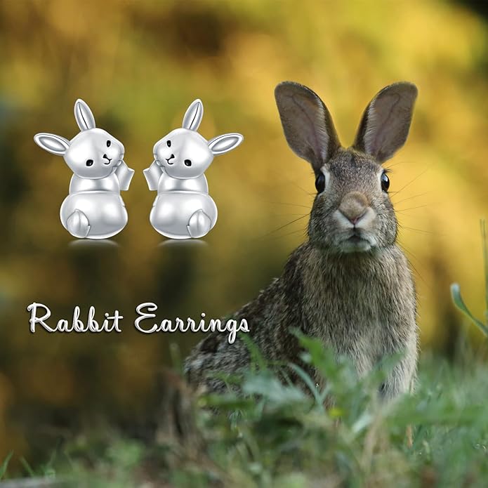 PELOVNY Animal Dangle Earrings Sterling Silver Hypoallergenic Moss Agate Crystal Moonstone Earrings Bee Butterfly Dolphin Peacock Phoenix Jewelry Birthday Christmas Gifts for Women