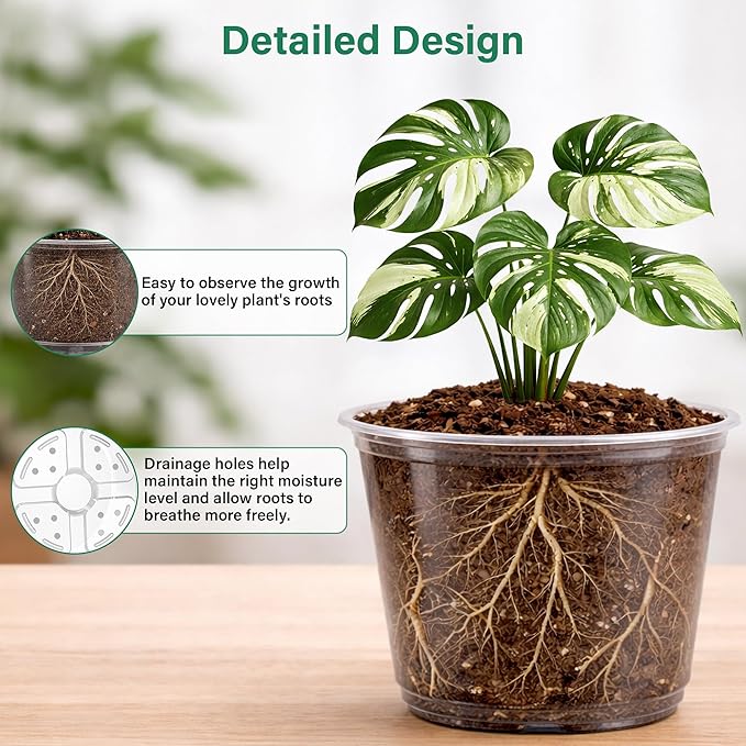 Bluepro Clear Nursery Pots - Image 3