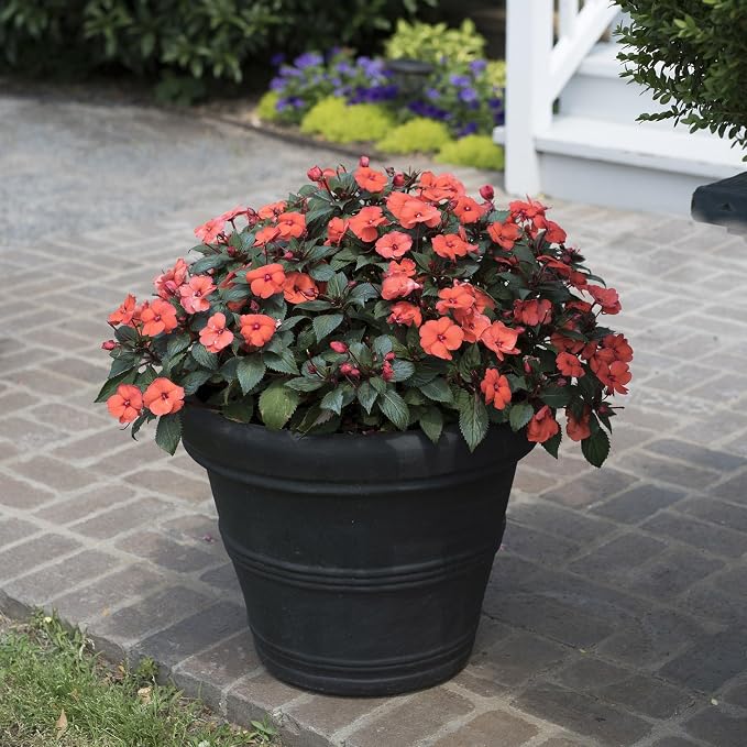 Crescent Garden Brunello Classic Rolled Rim Planter Pot, Indoor/Outdoor Plastic - Image 5