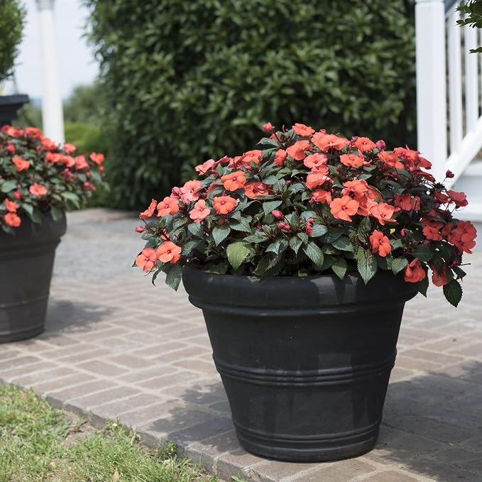 Crescent Garden Brunello Classic Rolled Rim Planter Pot, Indoor/Outdoor Plastic - Image 6