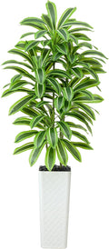 Artificial Dracaena Tree: 7FT Fake Plants Silk Faux Trees（White Pot） | by TNGGNT