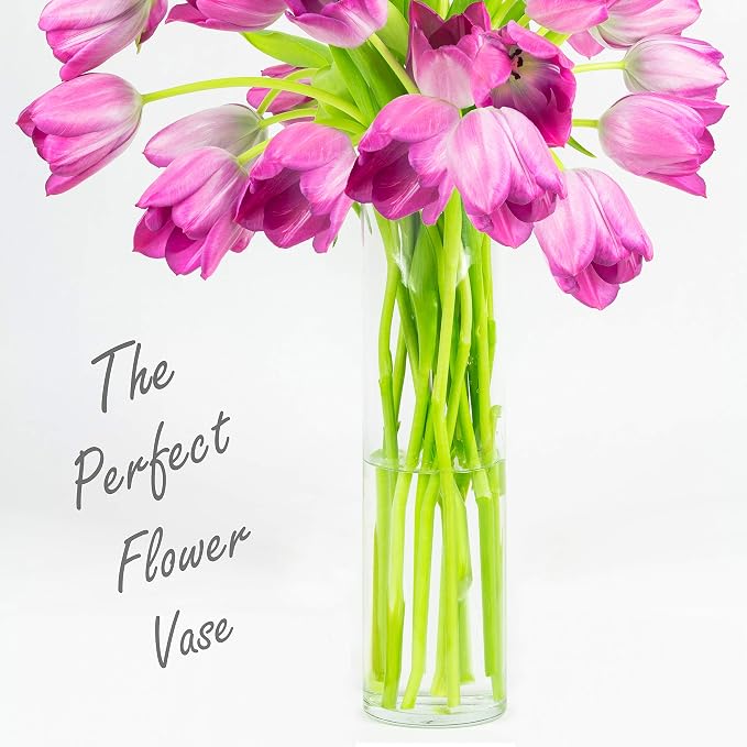 CYS Excel Clear Glass Cylinder Vase | Multiple Size Choices Glass Flower Vase - Image 5