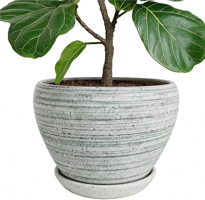 Deep Dream 10 Inch Plant Pot- Ceramic Planter Pot Round Plant Pots by DeepDream