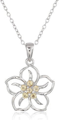 Amazon Collection Genuine or Created Gemstone Birthstone Flower Pendant Necklace with Chain in Sterling Silver, 18"