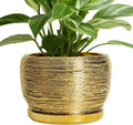SQOWL Ceramic Flower Pot by SQOWL