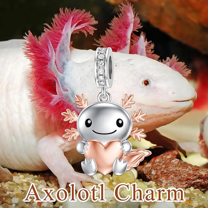 PROESS Sterling Silver/Red Panda/Cow/Highland Cow/Otter/Squirrel/Elephant/Axolotl/Cat/Fox/Bee/Butterfly/Hummingbird/Tiger/Lion/Mokeny/Koala/Dog Charm Animal Charms Bead for Jewelry Making