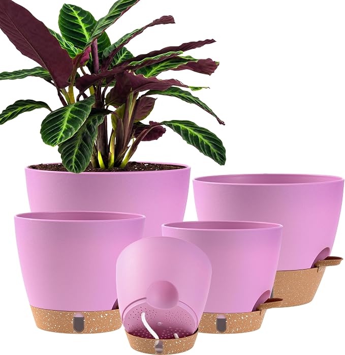 Self Watering Pots for Inoor Ourdoor Plants 10/9/8/7/6.5 Inch, 5 Pack | Plastic by Fielda