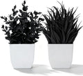 Der Rose 2 Pack Fake Plants for Black Bathroom Halloween Decor | Minimalist by DerRose