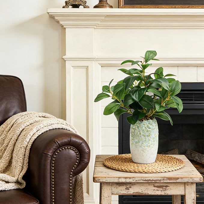 K&Y Realistic Artificial Potted Plants Olive Wild Fern Berry Decor Low - Image 9