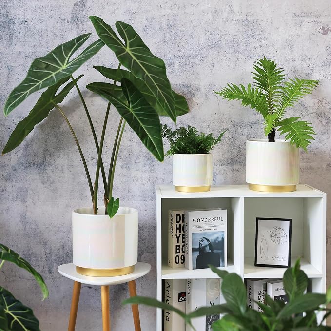 Gepege White Indoor Plant Pots for Plants, Large Ceramic Planter - Image 7