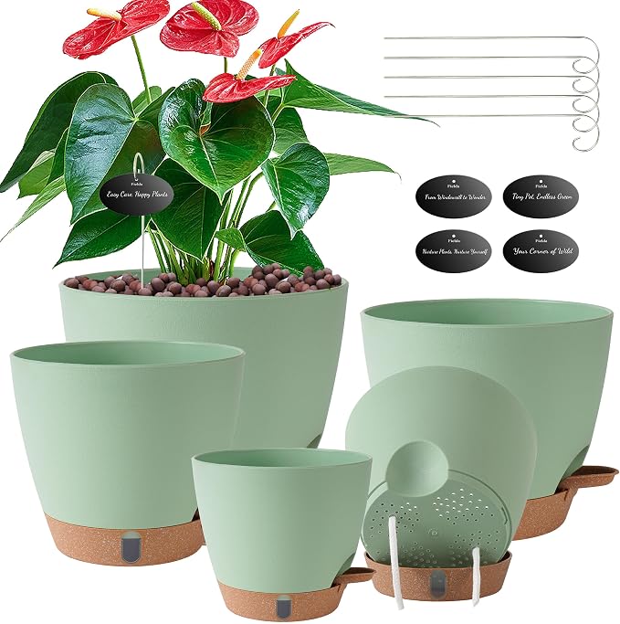 Self Watering Pots for Inoor Ourdoor Plants 8/7/6.5/6/5" Plastic Planters | by Fielda