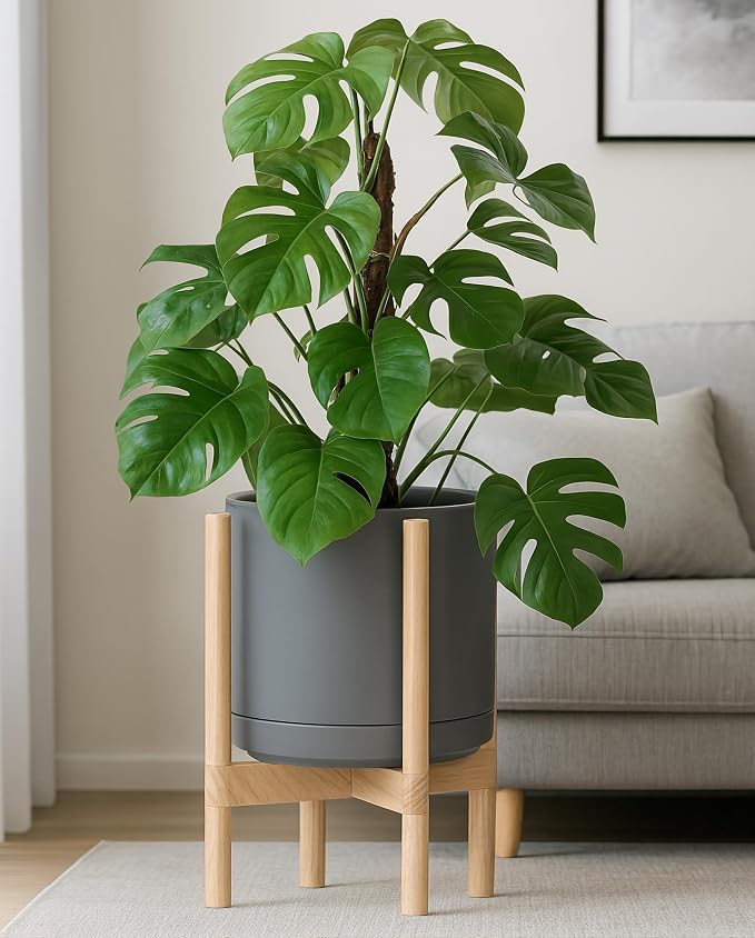 D'vine Dev Ceramic Pot with Natural Wood Stand, 12 in, 55-B-J-3 | Mid-Century - Image 7