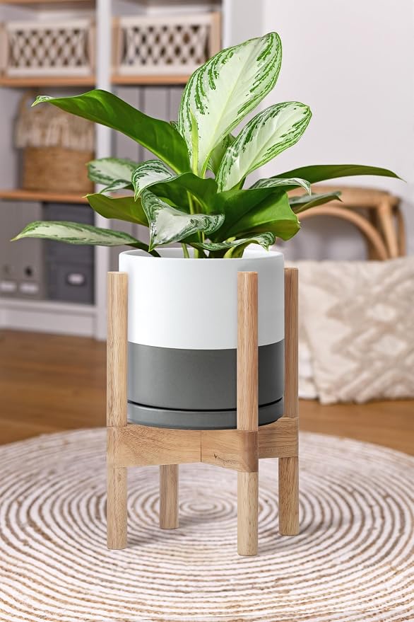 D'vine Dev Ceramic Pot with Natural Wood Stand, 8 in, 55-B-N-6 | Mid-Century - Image 6
