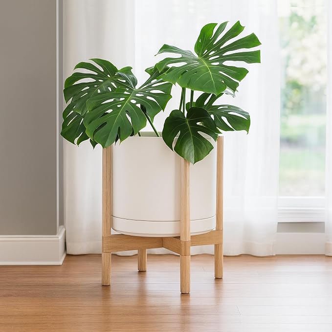 D'vine Dev Ceramic Pot with Natural Wood Stand, 14 in, 55-B-R-8 | Mid-Century - Image 4