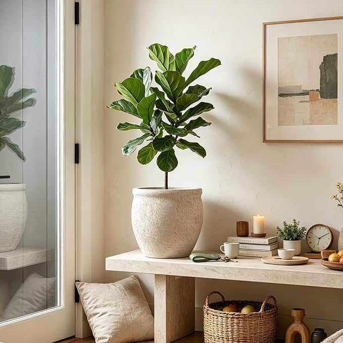9" Dia Fiberstone Planter – Modern Farmhouse Indoor/Outdoor Flower Pot - Image 4