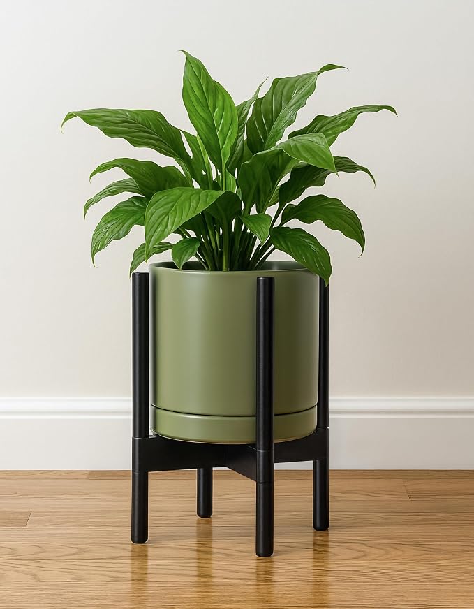 D'vine Dev Ceramic Pot with Ebony Wood Stand, 10 in, 55-B-L-J | Mid-Century - Image 6