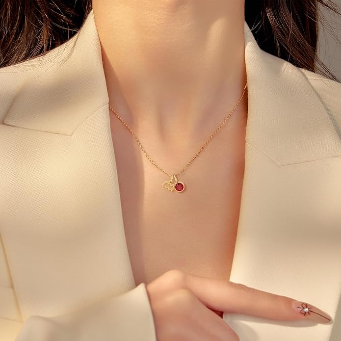 MISS RIGHT Initial Birthstone Necklace for Women - Personalized Gifts Birthday Gifts for Women Stainless Steel 18K Gold Plated Dainty Gold Zodiac Sign 12 Constellation Horoscope Necklace Jewelry