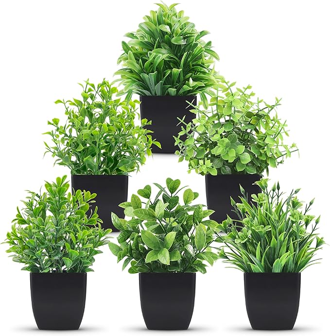Der Rose 6 Pack Small Artificial Plants in Black Pots, Bathroom Home Decor | by DerRose