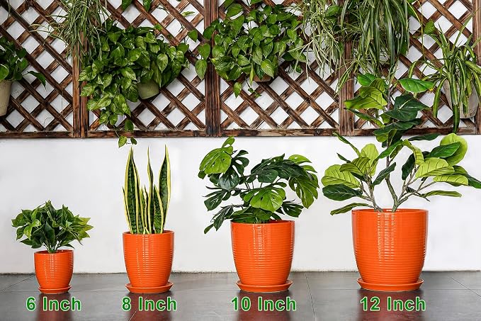 6 Inch Ceramic Plant Pots with Drainage Hole and Saucer, Flower Pot Indoor - Image 9