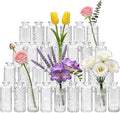 Glass Bud Vases 30 Pack, Small Clear Flower Vases by Mapoxy