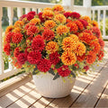 24 Pcs Artificial Mums Flowers for Outdoor, UV Resistant Fake fall by Lovemoon