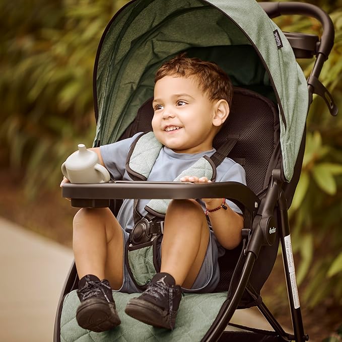 Evolur Breeze Stroller in Green, Adjustable Backrest & Canopy, Compact Fold Lightweight Baby/Toddler Stroller with Storage Basket