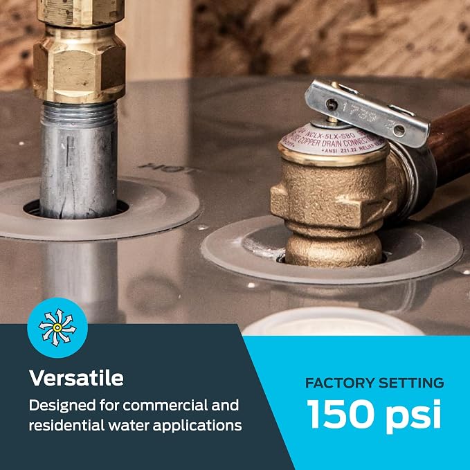 Cash Acme 3/4 Inch NCLX-5LX Temperature and Pressure Relief Valve, Push to - Image 3