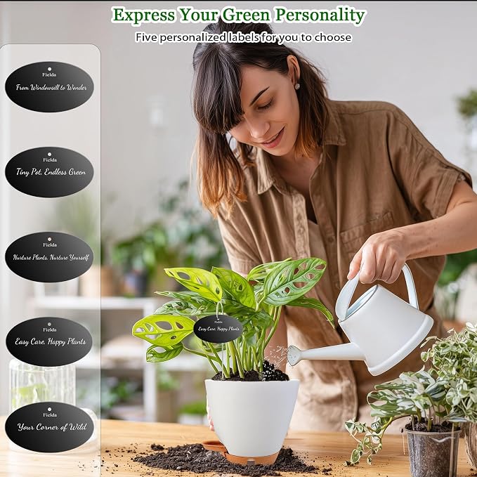 6" Self Watering Pots for Indoor Plants, Drainage Holes & Detachable Trays - Image 3