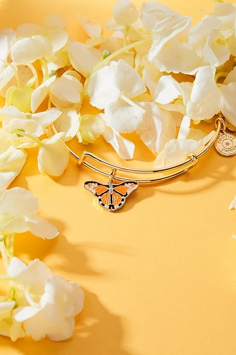 Alex and Ani Butterfly Bracelets