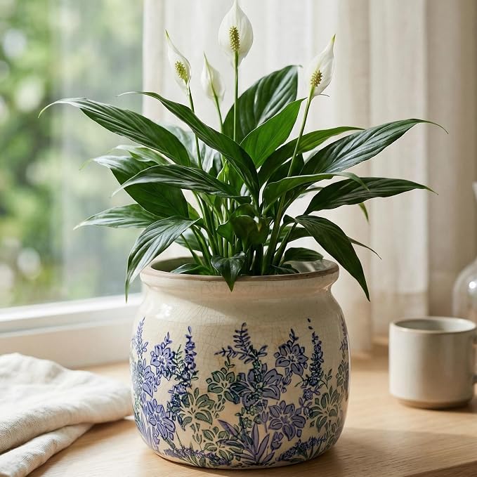 Xiaan Jiaju Pots for Plants, Ceramic Planters for Indoor/Outdoor Plants | 6.29" - Image 7