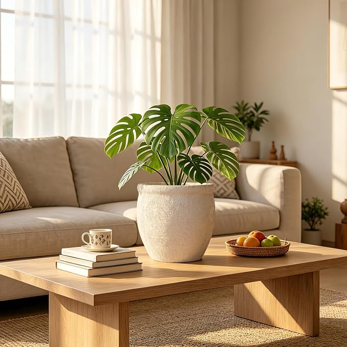 9" Dia Fiberstone Planter – Modern Farmhouse Indoor/Outdoor Flower Pot - Image 5