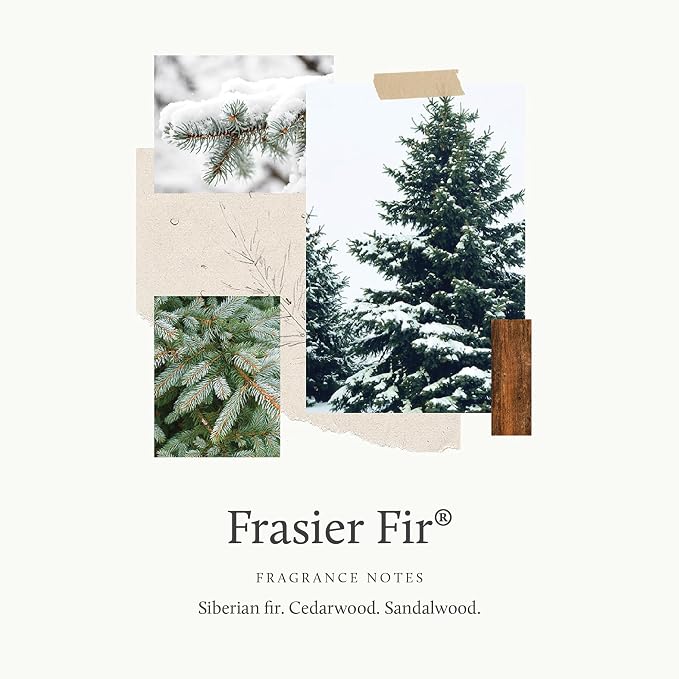 Thymes Frasier Fir Scented Candles - Image 3
