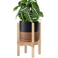 D'vine Dev Ceramic Pot with Natural Wood Stand, 8 in, 55-B-N-7 | Mid-Century by DvineDevPlanterPotsandStand