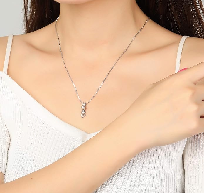 Step Forward Sterling Silver Cat Necklace for Women - Cat Jewelry Gifts for Cat Lovers, Hummingbird Necklace for Her, Mother's Day Birthday Graduation Christmas Gift