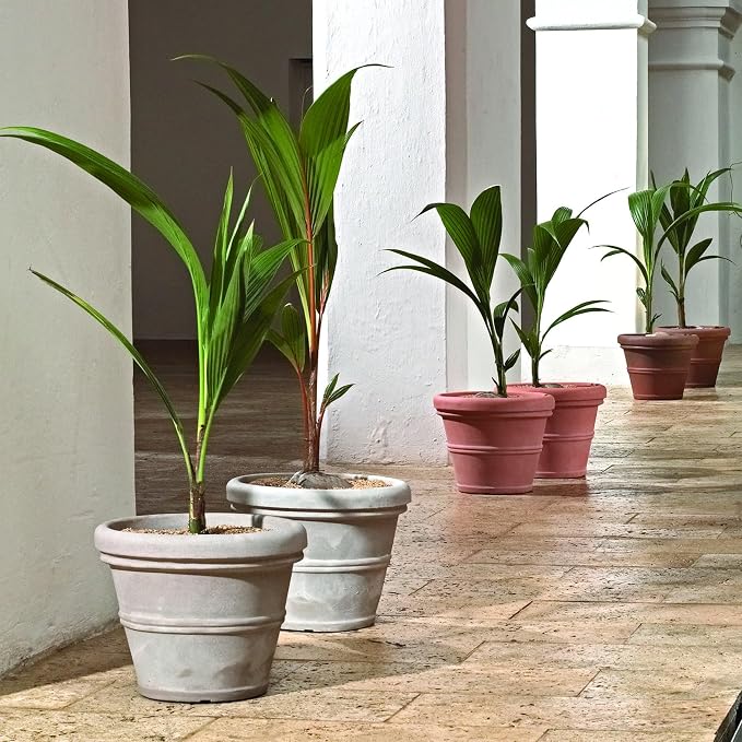 Crescent Garden Brunello Planter, Classic Rolled-Rim Plant Pot, Lightweight - Image 2