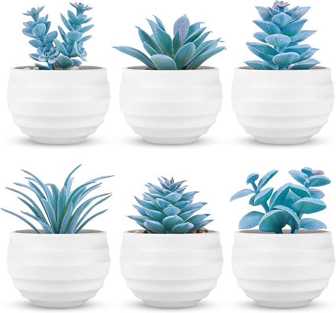 Der Rose 6 Pack Blue Fake Succulents Small Plants by DerRose