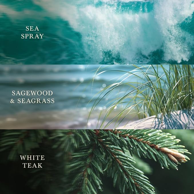 Woodwick Driftwood Shores Medium Hourglass Trilogy Candle - Image 3