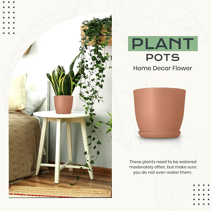 Plant Pots Indoor with Drainage 10 Pack Multi-Size Planters Set Terracotta | - Image 4