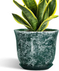 8 Inch Plant Pot by SUNPOTFOR