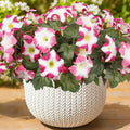 Artificial Flowers for Outdoors, Faux Petunias Spring Summer Decoration by ArtistryThatNeverWithers