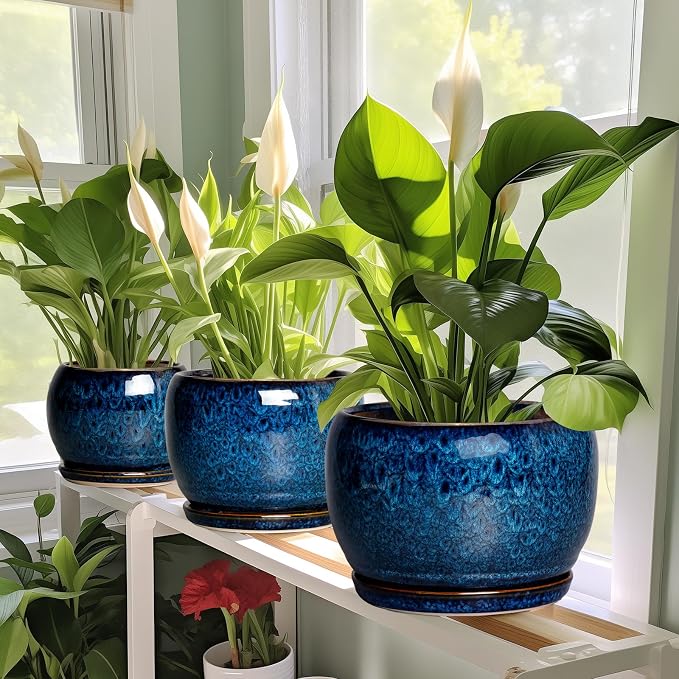 SQOWL 6 Inch Plant Pot - Image 6