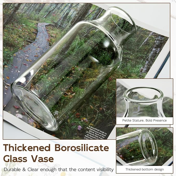 Clear Glass Vase, Small Glass Flower Vase, 7.6 inch Mini Vase - Image 5