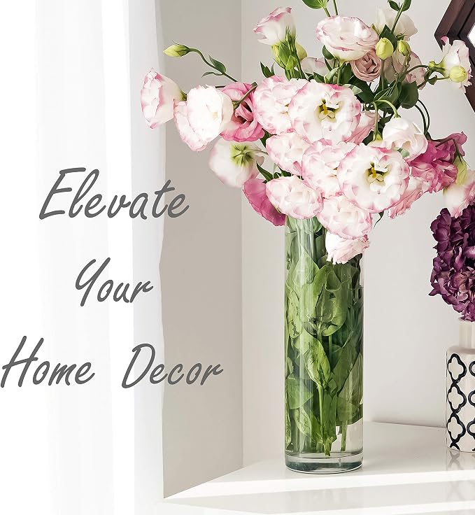 CYS Excel Clear Glass Cylinder Vase | Multiple Size Choices Glass Flower Vase - Image 7