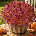 Alupssuc 24 Bundles Artificial Fall Flowers, UV Resistant Faux Mums Porch | by Alupssuc
