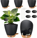 6" Self Watering Pots for Indoor Plants, Small Plastic Planters | Water Level by Fielda