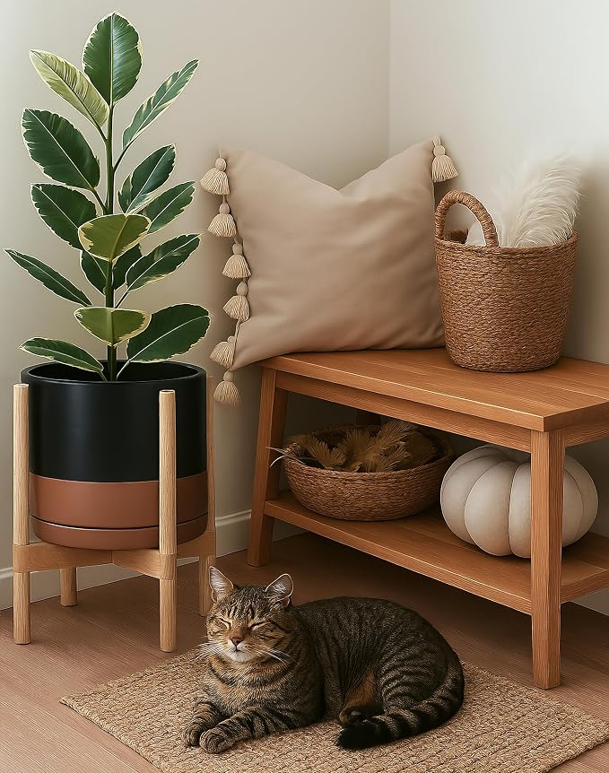 D'vine Dev Ceramic Pot with Natural Wood Stand, 12 in, 55-B-J-7 | Mid-Century - Image 6