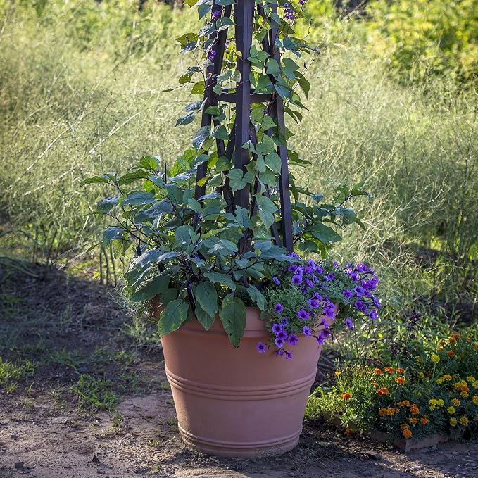 Crescent Garden Brunello Planter, Classic Rolled-Rim Plant Pot, Indoor/Outdoor - Image 7