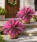 Starttag Artificial Greenery for Outdoors Fake Plants, 4 Bundles Boston Fern by Starttag