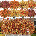 Alupssuc 48 Bundles Artificial Fall Flowers, UV Resistant Faux Mums Porch | by Alupssuc